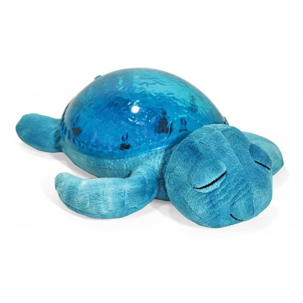 Tranquil Turtle Aqua